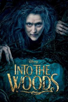 poster Into the Woods  (2014)