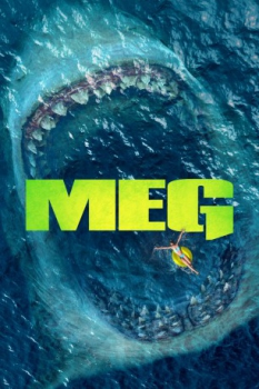 poster MEG  (2018)