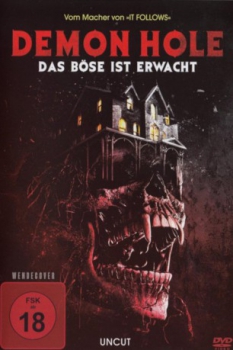 poster Demon Hole - Das Böse ist erwacht  (2017)